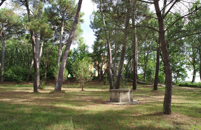 Scenic Escape in the Chianti - Photo 26