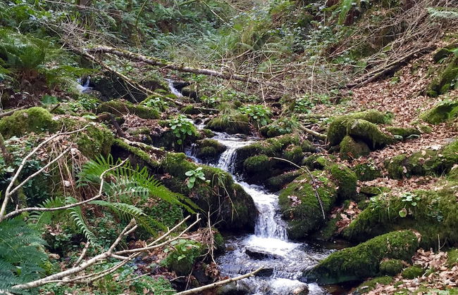 Casona de Labrada - Foto 77