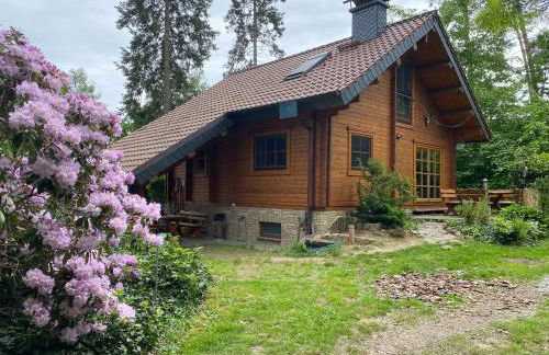 Waldhaus Eichhörnchen - Foto 6