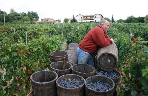 Agriturismo La Pietriccia - Foto 66