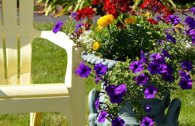 Shorelands Guest Resort and Cottages - Photo 45