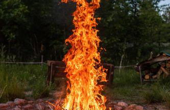 Głuszecki las - Foto 32