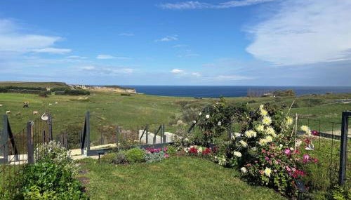 ballota 21 - Foto 1, Garden