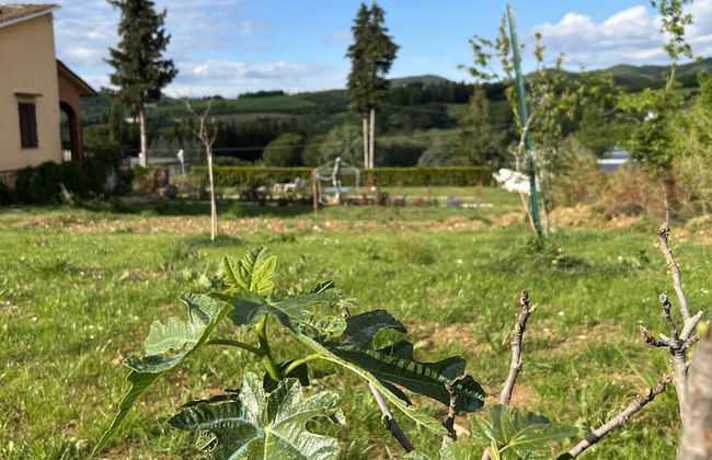 Ristorante Agriturismo La Palma - Foto 33