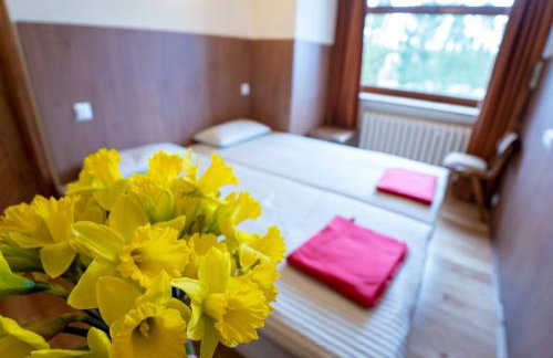 Apartament ALINA - Foto 64