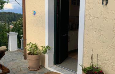 Harry's Studios - Photo 56