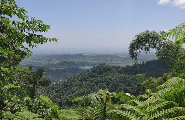 Beachfront Studios - Foto 34