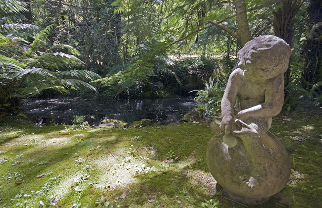 Lotus Lodges - Foto 23