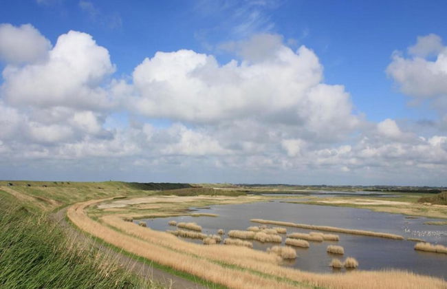 Coastal Apartment in Westkapelle - Foto 23