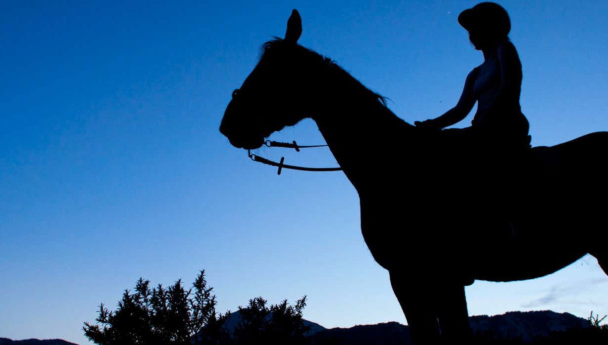 Evening Horse Ride in Sierra de Grazalema - Foto 1