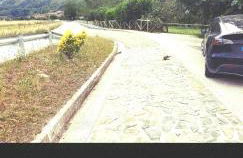 La casina Redes -Tlf 67964 nueve cero tres uno - Foto 13