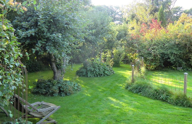 2 Person Holiday Home in Falkenberg-by Traum - Foto 24