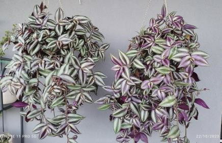 Meteora countryside villa - Foto 50