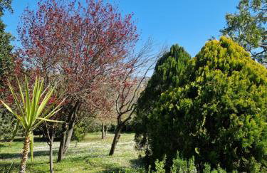 Il Giardino - Foto 20