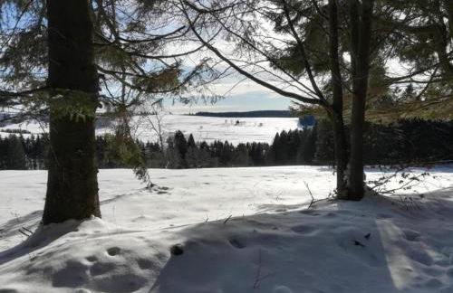 Einladende Ferienwohnung mit Garten - Foto 54