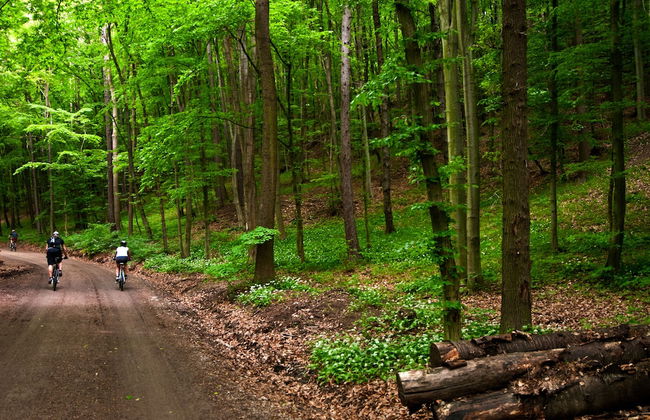 Villa Marie- Self-Catering - Foto 32