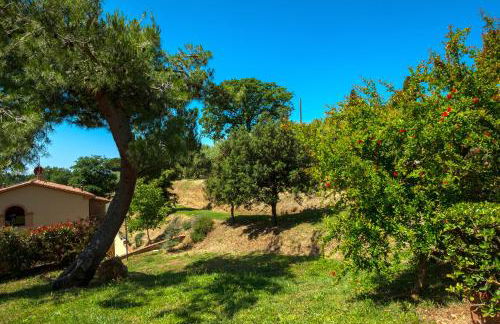 Appartamento bilocale I Cerroni Montescudaio - Foto 44