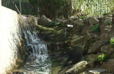 Gerberlaube - Foto 22