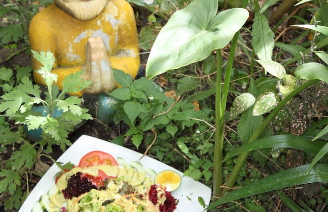 Finca de la Vaca - Casa el Mirador - Foto 17