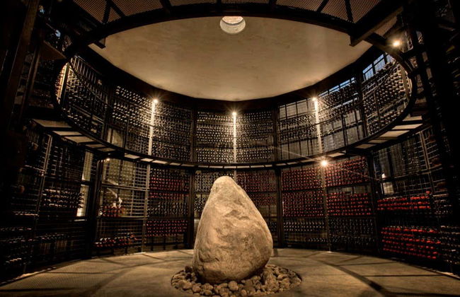 Tour privado pelas adegas do Vale do Uco - Foto 2