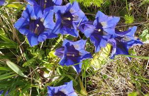 Appartement à la montagne - Photo 27