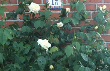 Ferienwohnung Südel - Foto 29