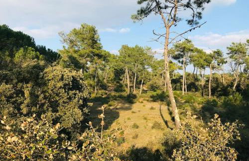 Maison de la pinède, accès direct forêt et plage - Photo 19