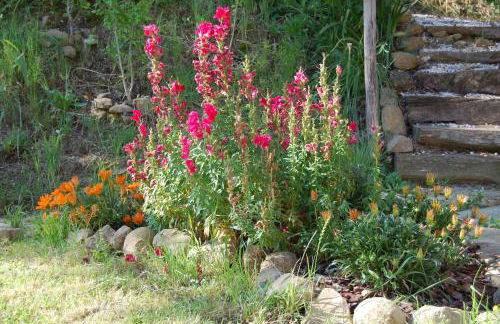 Agriturismo SPA Serpanera - Photo 57