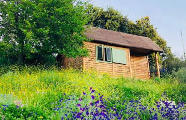 Hamlet's Friends - Foto 1