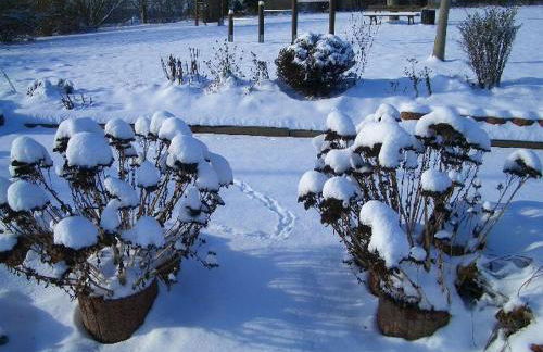 Bungalow im Feriendorf Uslar mit Gartenterrasse - Photo 40