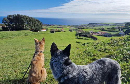 Mein Faial, Apartment with Pico and Seaview - Foto 9