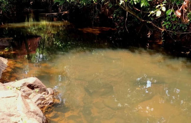 Pousada Pouso das Araras - Foto 27