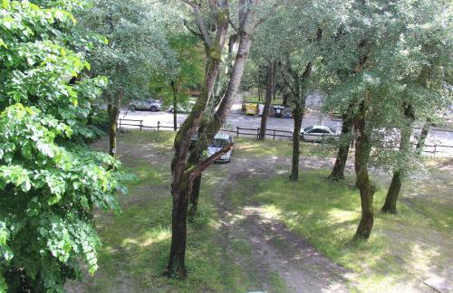 Felix Grado - Foto 12