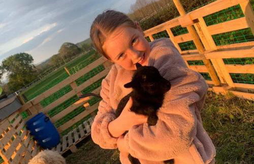 Beautiful Barn Conversion, 3 Bed, hot tub, sauna, gym, enclosed garden - Photo 8