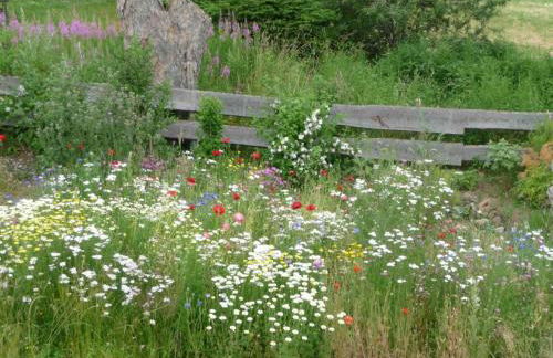 Holiday Home Elfi by Interhome - Foto 12