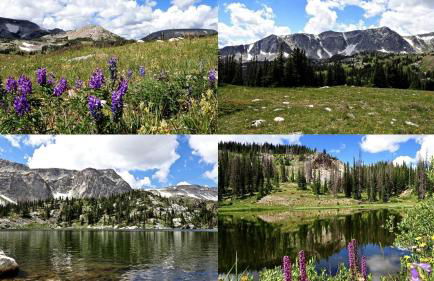 Stunning Cottage with Fire Pit in Saratoga, Wyoming - Foto 15