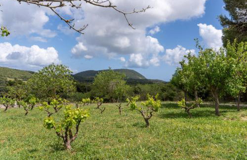 Philip estate - Foto 34