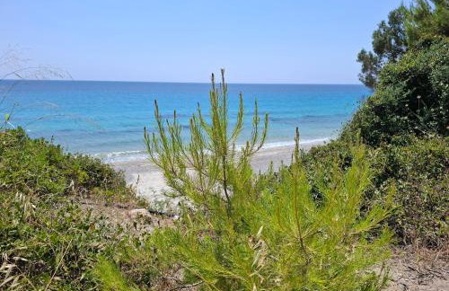 MARINE SEA VIEW MOLA KALIVA Halkidiki - Foto 37