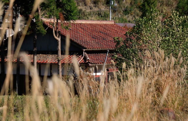 The Lodge MIWA - Foto 17