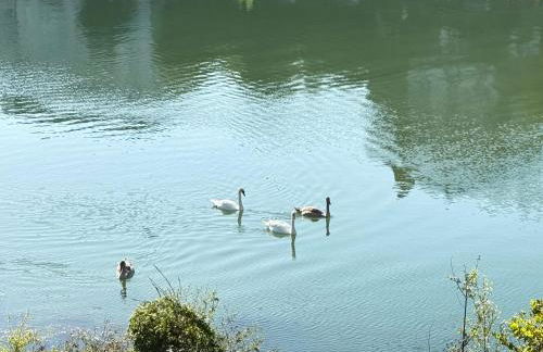 Les Berges du Paradis - Proche Disneyland & Paris - Foto 13