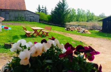 Zakątek Szczęścia Eko Agroturystyka - Foto 34