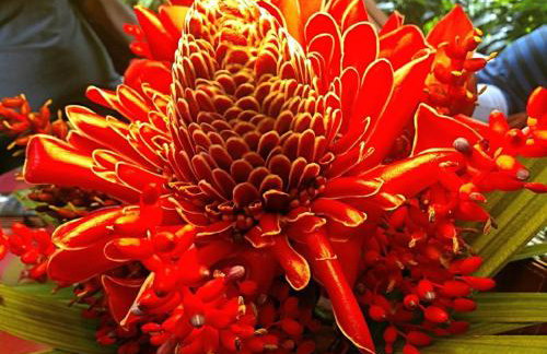 Sitio Alto da Montanha - você em paz com a natureza - Foto 55