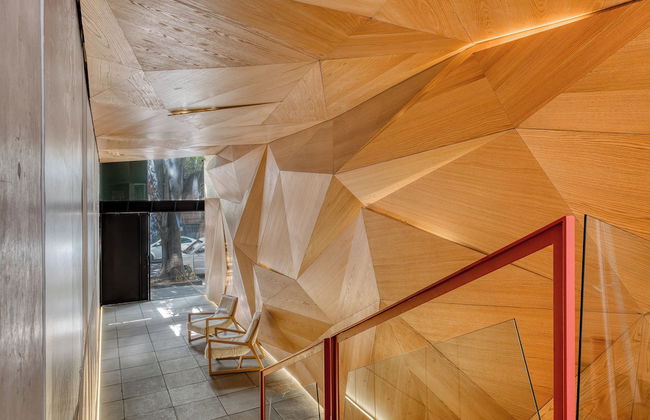 Boga Mexico City by Lumina - Foto 3