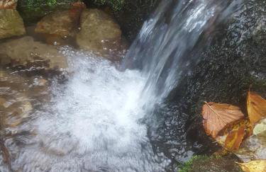 Apartman Sunce - Foto 47