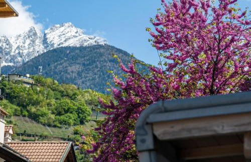 RESIDENCE LEONARDO - Photo 21