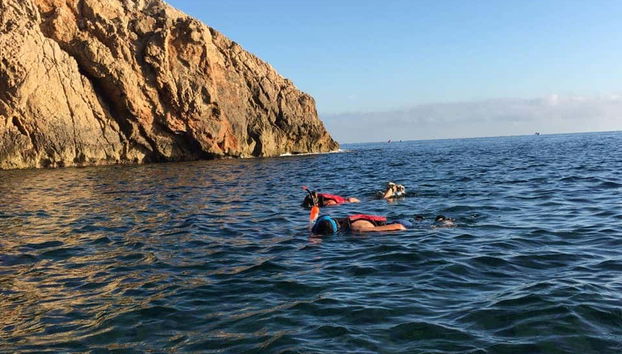 Tour en kayak por el Parque Natural del Montgó - Foto 5