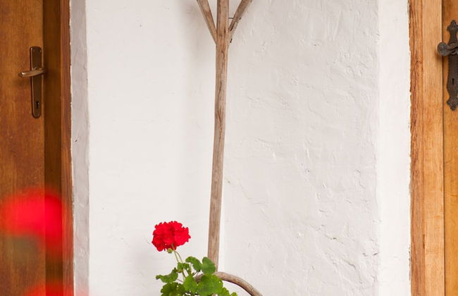 Country House Stara Kapela - Foto 51