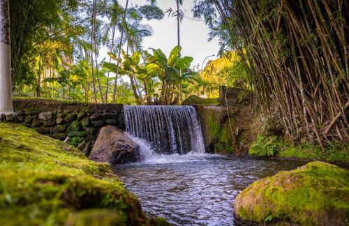 Sítio Monte Frederico - Foto 13