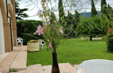 Agriturismo Villa Stella - Photo 39