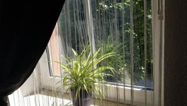 1-Zimmer Apartment in der Nähe vom Petersberg - Foto 3